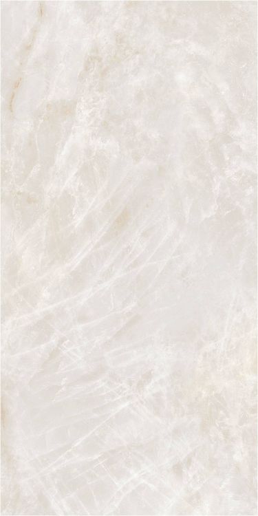 OL Taj Mahal Cream Matte 12 x 24